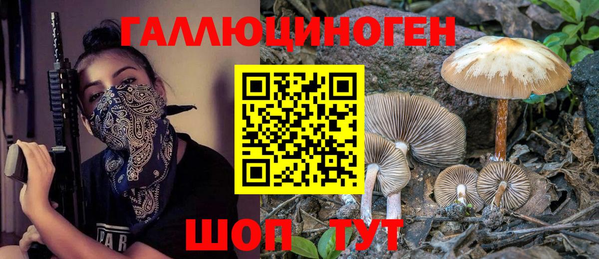 Зерноград  Псилоцибиновые грибы мицелий  Вход с VPN 